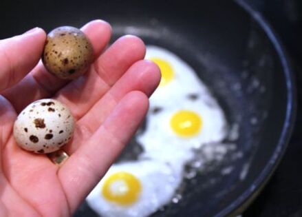 Telur puyuh untuk potensi