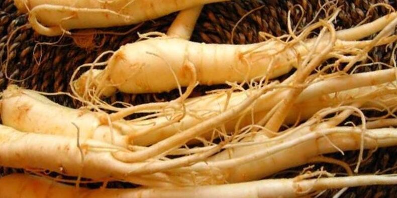 Akar ginseng untuk meningkatkan potensi